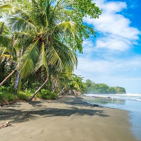 Casa Verde Puerto Viejo de Talamanca Zewnętrze zdjęcie